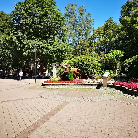 Harzfeuer Zentrum Apartmán