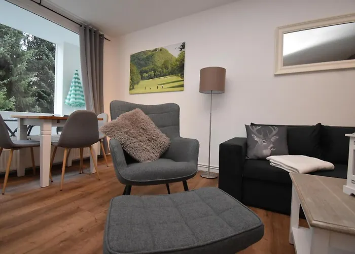 Harzfeuer Zentrum Lejlighed