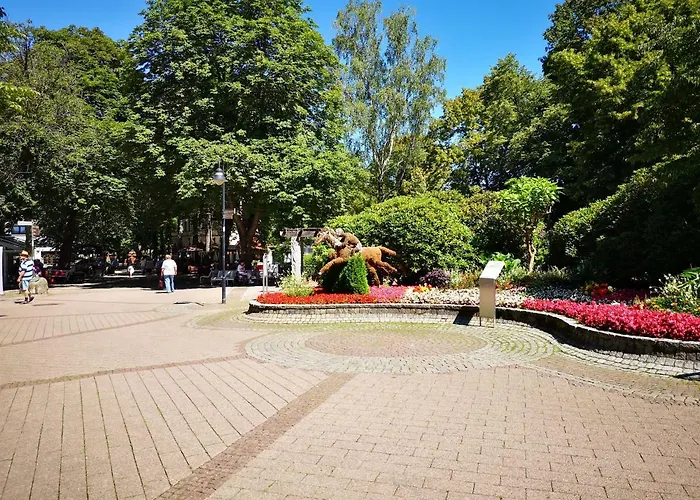 Harzfeuer Zentrum Lejlighed